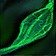 Felweed Stalk