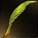 Whiptail Stem