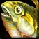 Raw Summer Bass