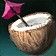 Stolen Coconut Rum