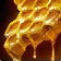 Choral Honey