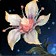 Saxifrage