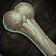 Large Sturdy Femur