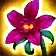 Harmonious Horticulture