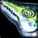 Striped Yellowtail