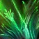 Fel Blossom