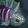 Shimmer Spinefish