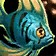 Tender Lumifin