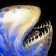 Null Voidfish