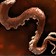 Questionable Tentacle