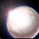 Jaggal Pearl