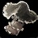 Black Mushroom