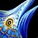 Dragonfin Angelfish