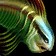 Fangtooth Herring