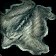 Cured Heavy Hide