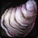 Bad Clams