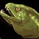 Slippery Eel