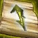 Glyph of Disguise