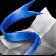 Blue Ribboned Wrapping Paper