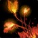 Cinderbloom