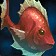 Murglesnout