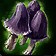 Violet Morel