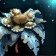 Snow Lily Petal