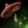 Fool's Cap Spores